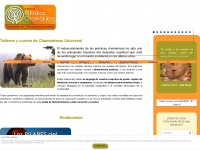 Estudioschamanicos.com