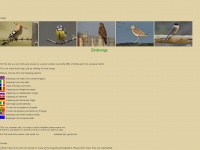 Bird-songs.com