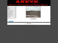 aneve.org Thumbnail